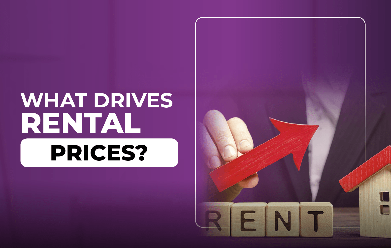 Today we show you what drives rental prices